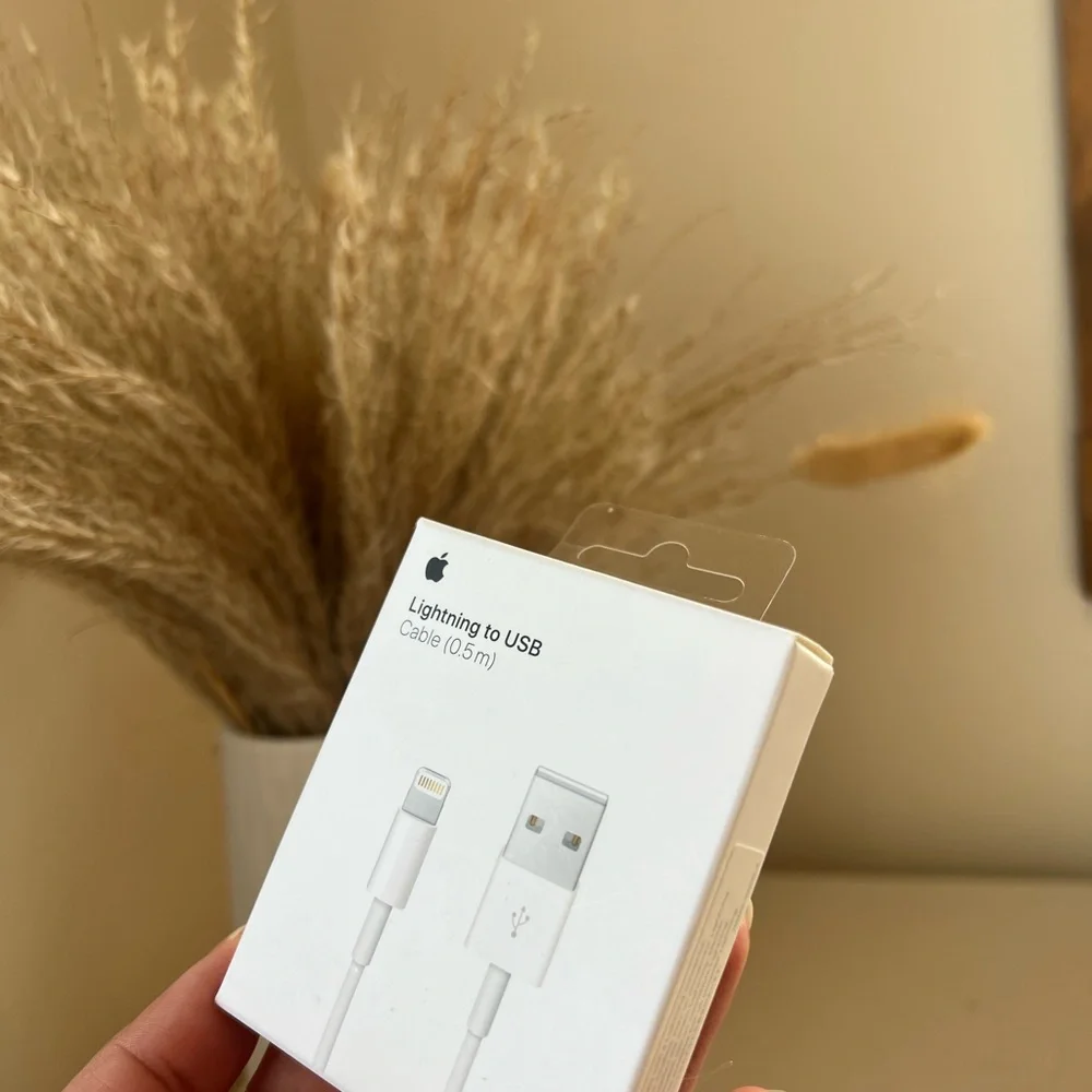 Apple Lightning to USB Cable